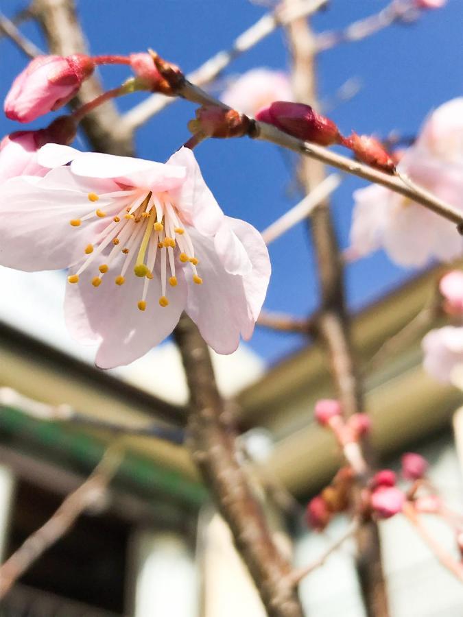 Guesthouse Nishihara Atami  Dış mekan fotoğraf
